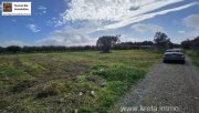 Tympaki Olivenhain 5.500 m² in Tympaki, Kreta zu verkaufen Grundstück kaufen
